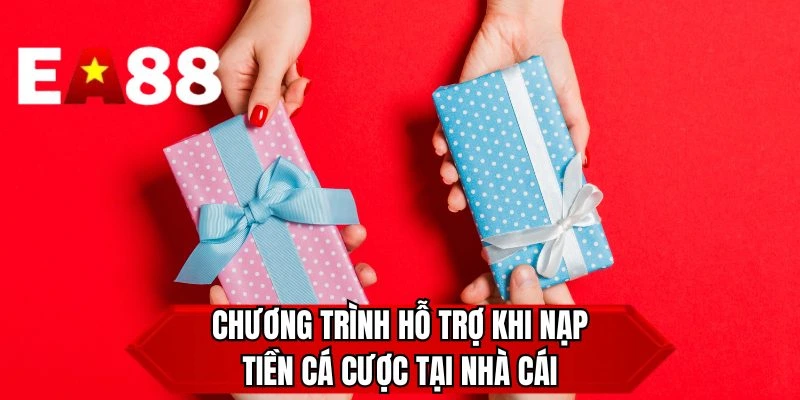 Chương trình hỗ trợ khi nạp tiền cá cược tại nhà cái